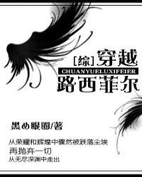 综穿越路西菲尔