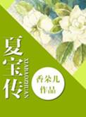 夏宝传3顶点