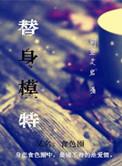 替身模特试衣
