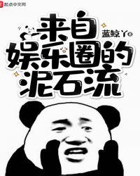 来自娱乐圈的泥石流TXT