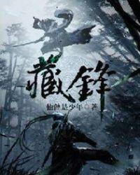 藏锋by清欢简介