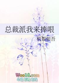 总裁派我来捧眼