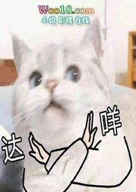 翻身在线阅读