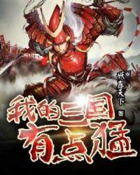 我的三国有点猛未删减