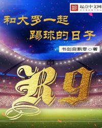 大罗和c罗同场竞技过吗