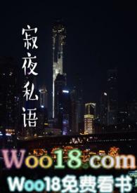 寂夜私语简介