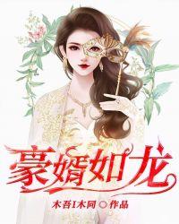 狅婿如龙陆叶