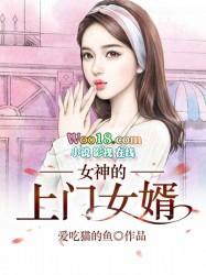 女神的上门女婿林阳全文阅读