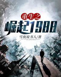 重生之崛起1988陈宇
