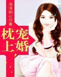 枕上宠婚完整版