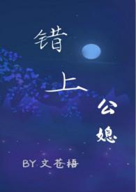 我于人海见过你公媳古言