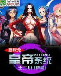 海贼之系统流