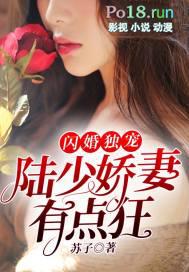 闪婚独宠陆少的心尖宠