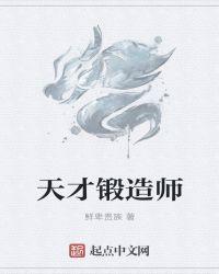 天才锻造师1到16合集