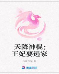 天降王妃锦落