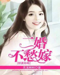 二婚娇妻很抢手免费阅读全文