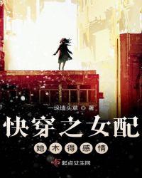 快穿之女配他木的感情
