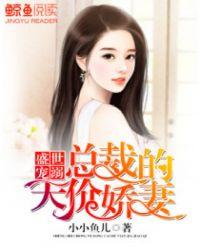 盛世宠溺总裁的心尖娇妻 小小鱼儿