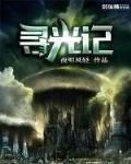 寻光记起点彩鹤safari