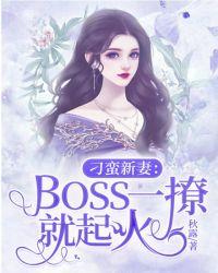 刁蛮妻主