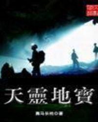 天灵地宝免费听书
