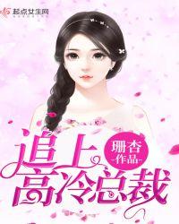 追上高冷总裁电视剧