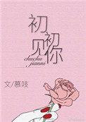 初初见你 全文免费阅读慕吱晋江