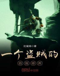 盗贼的功能