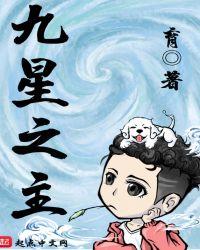九星之主何天问