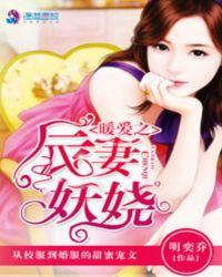 暖婚爱妻免费