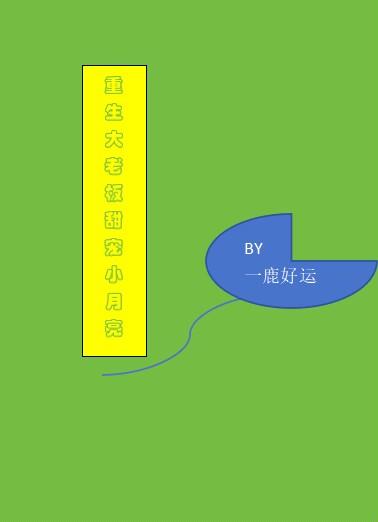 重生大老板甜宠小月亮的