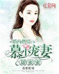 婚内燃情封少别太撩
