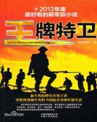 王牌特卫1第二部