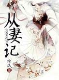 从妻记讲的什么