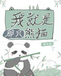 我就是那只熊猫2k