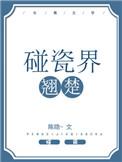 碰瓷界翘楚宝书网
