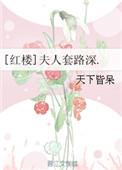 红楼夫人套路深全本免费阅读