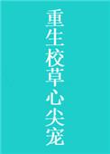 重生校草心尖宠沈念全文免费阅读