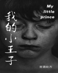 我的小王子法语