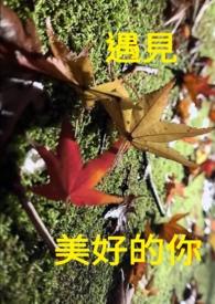 遇见美好前面一句