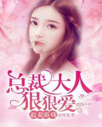 总裁大人追妻路漫漫
