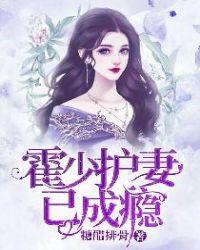 霍少护妻已成瘾TXT