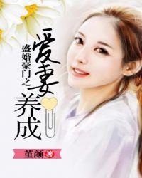 盛婚豪门之爱妻养成免费阅读