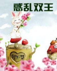 惑乱双王完整