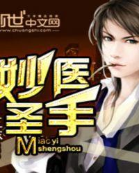 妙医圣手恋陈南正版