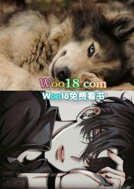 求娇凤卿免费观看