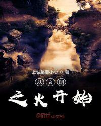 从文明起源到现代化阅读