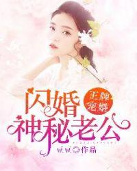 王牌暖婚无弹窗免费阅读全文