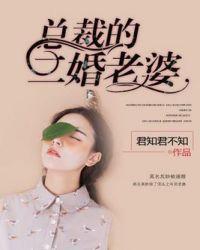 总裁二婚老婆大人