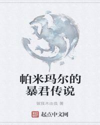 帕米尔古称